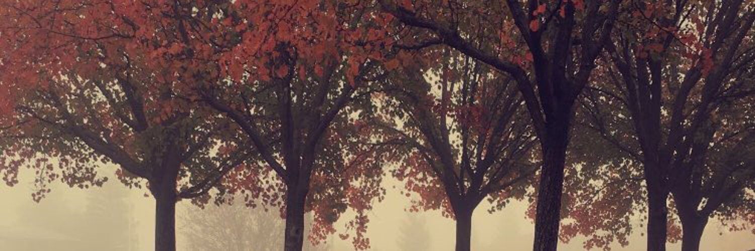 Deetol's profile banner image