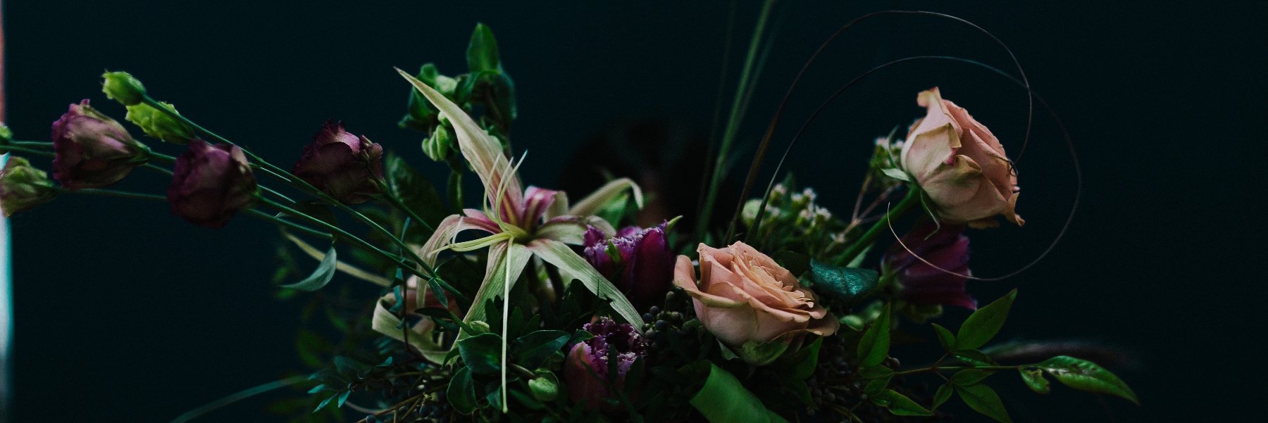 MaryRGiles's profile banner image