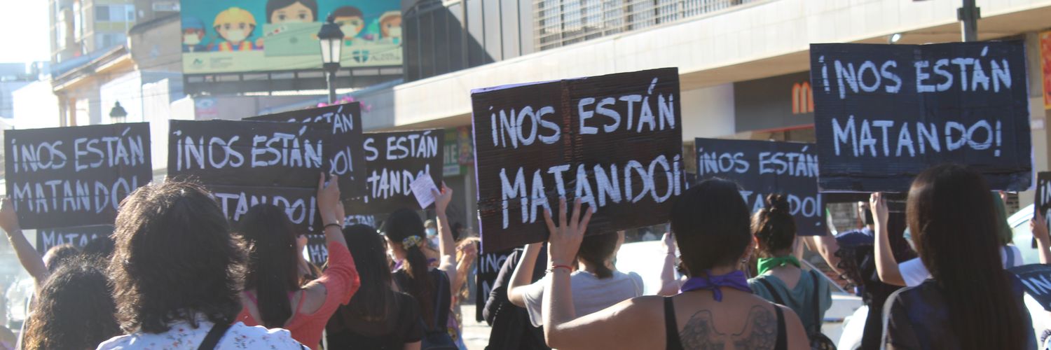 🏳️‍🌈 Cami Amaranta banner