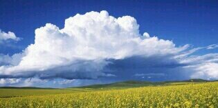 macolin2013's profile banner image