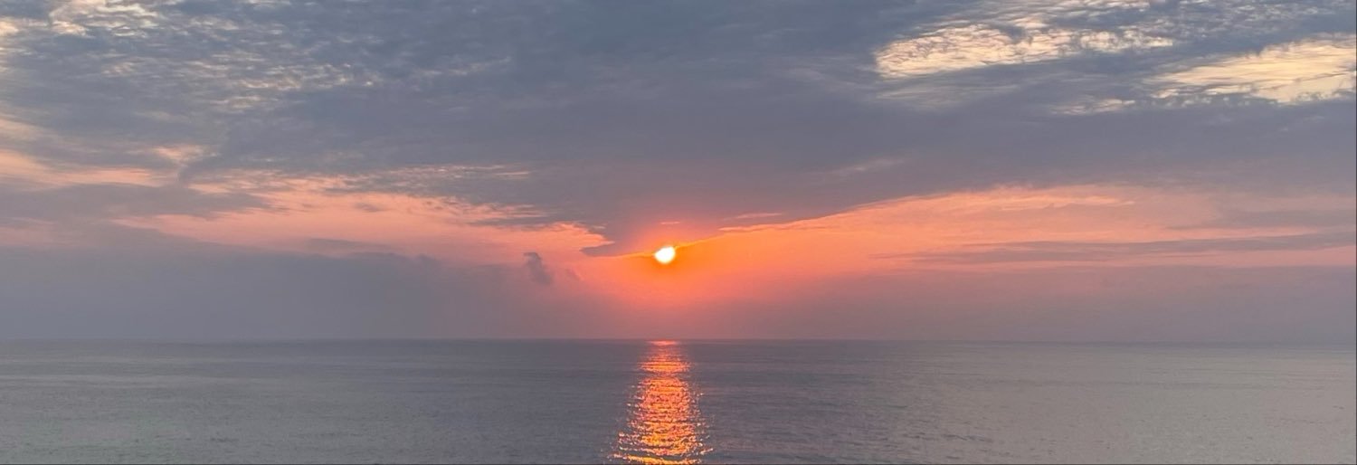 snorchuu's profile banner image