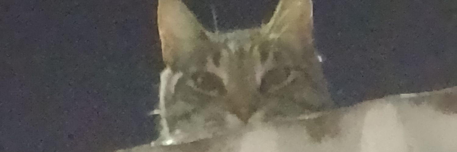 leanallega's profile banner image