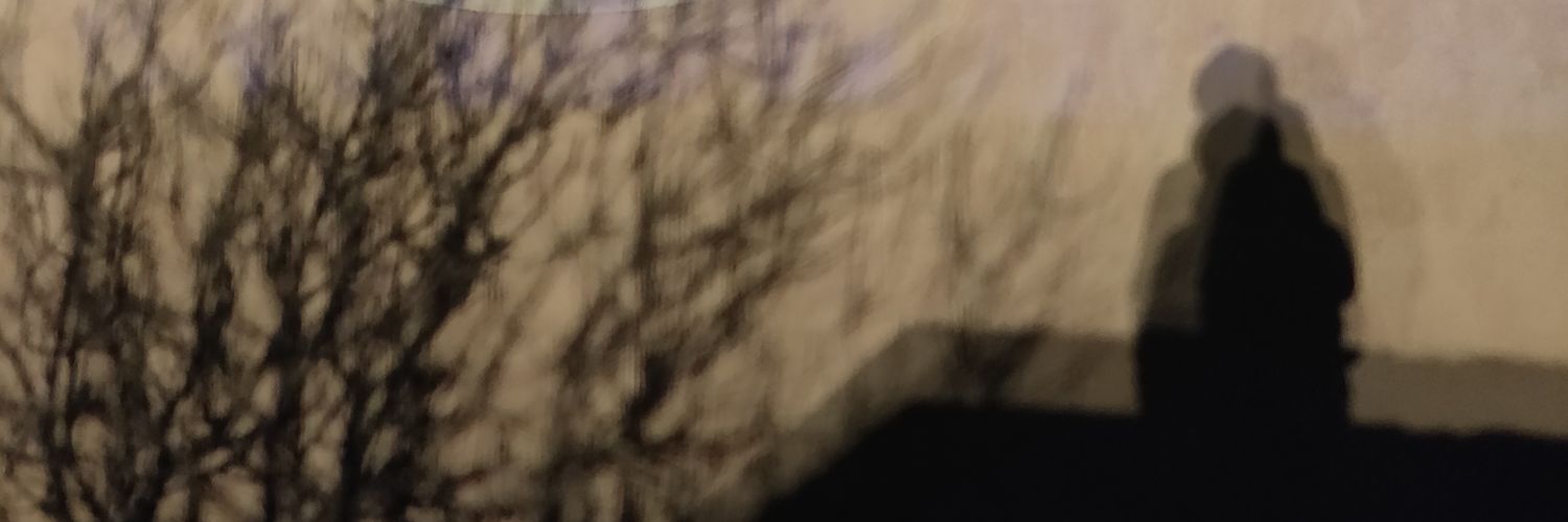 OLA_ORANGE_LUCA's profile banner image