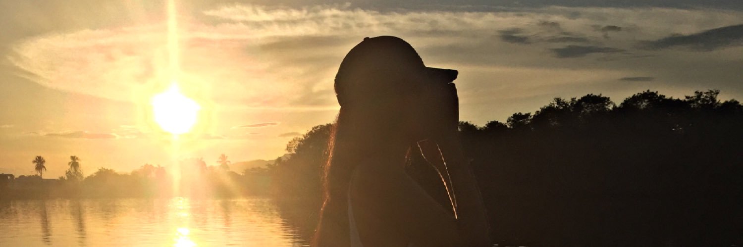 Valentinarsfn's profile banner image