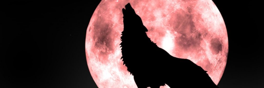 RedYellowGonnie's profile banner image