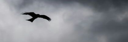 ْ banner