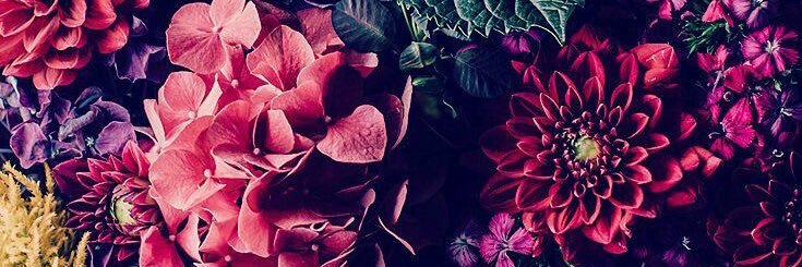 Charlottegustin's profile banner image