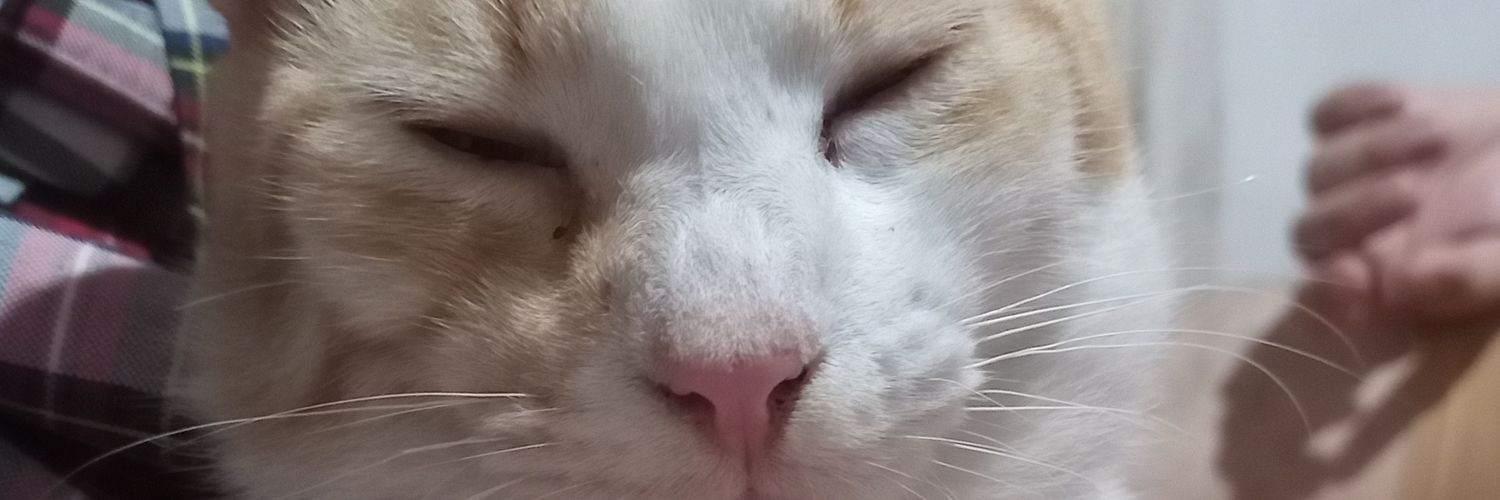 Lighny's profile banner image