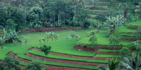 FirmanM16745994's profile banner image