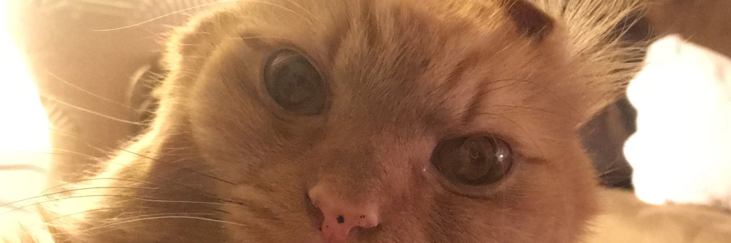 gleich7's profile banner image