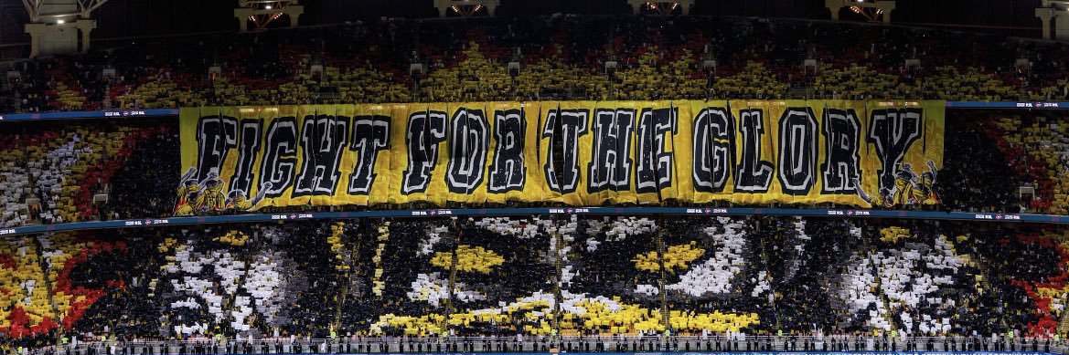 Fox ⭐️⭐️⭐️ banner