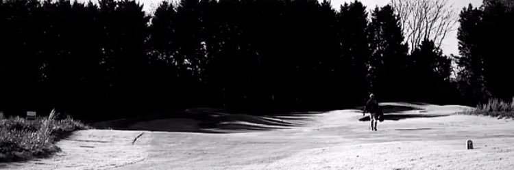 thall2014's profile banner image