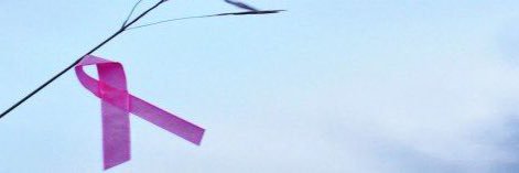 graceslawski's profile banner image