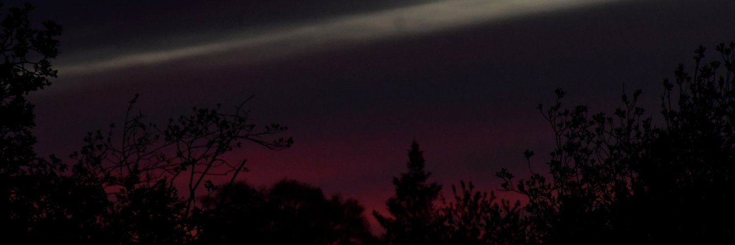 ashafiacha's profile banner image