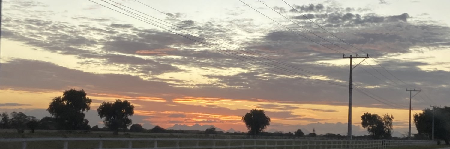 jheniimonteiro's profile banner image