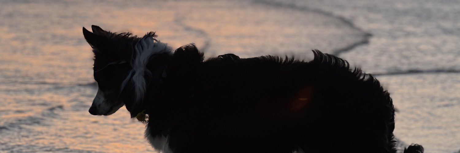 tgnedu's profile banner image