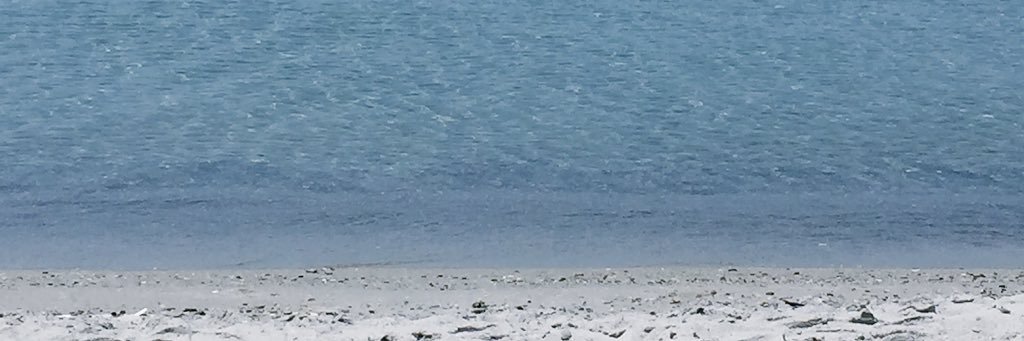 respectfulfish's profile banner image