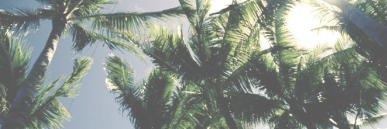josavray's profile banner image