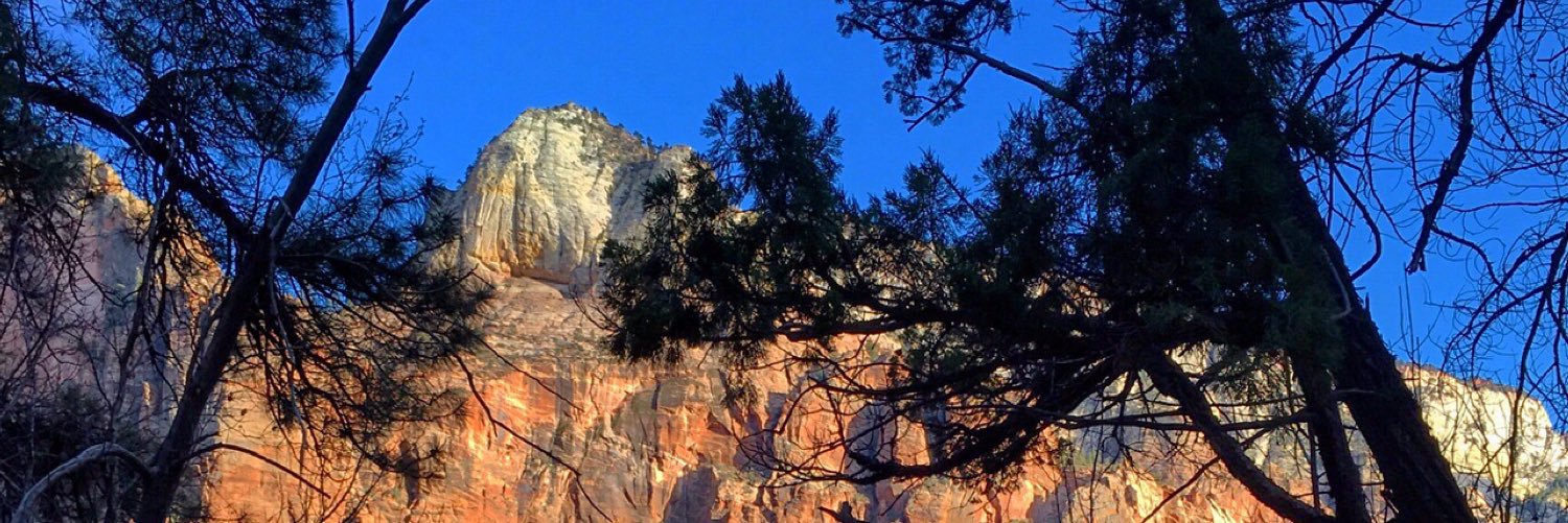 Mrrodporter's profile banner image