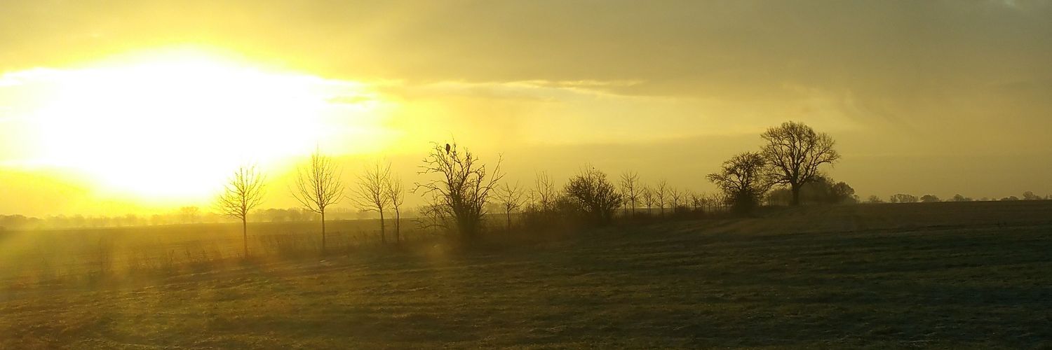 derkeim1's profile banner image