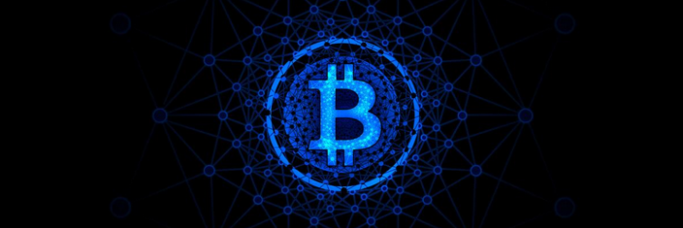 Bitcoinanarka's profile banner image