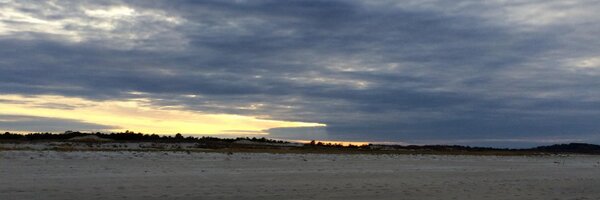 atmpotts Profile Banner