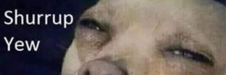 Emma Hendrick banner