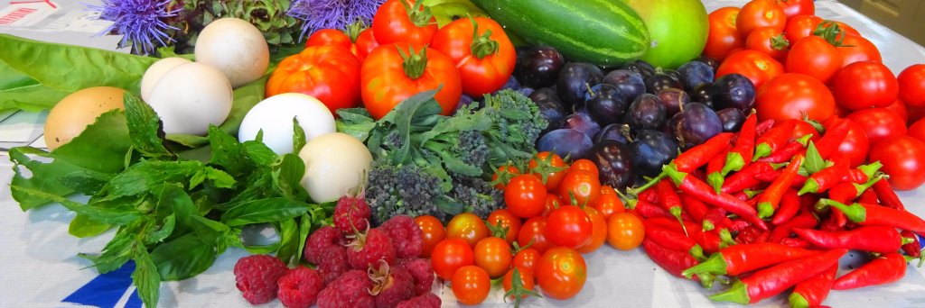 HelenGoodfood's profile banner image