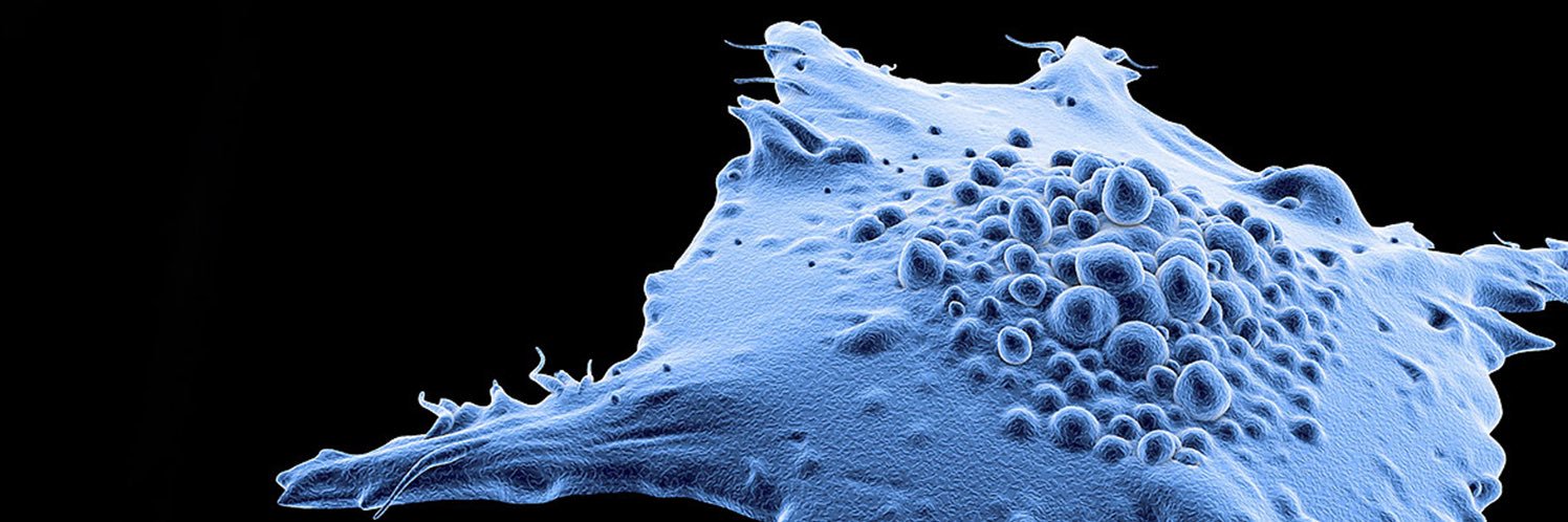 Cancer Gene Therapy banner