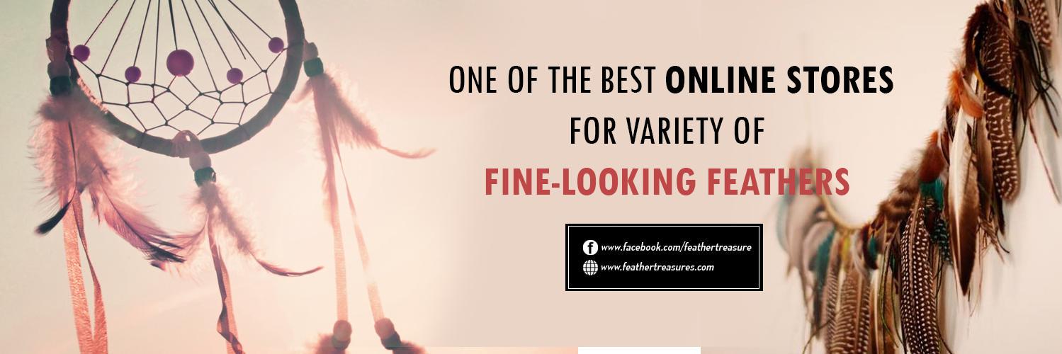 FEATHER TREASURES (@FEATHERTREASURE) / Posts / X