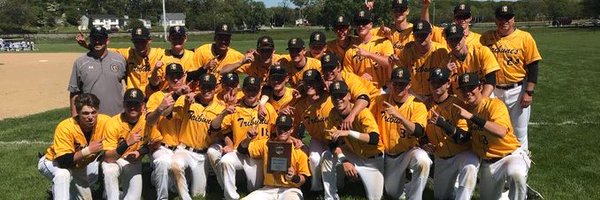 TribuneBaseball Profile Banner
