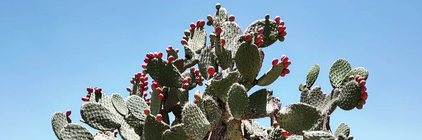 monicacolmenar8's profile banner image