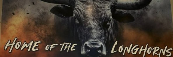 Baines Middle School banner