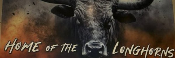 BMSLonghorns Profile Banner