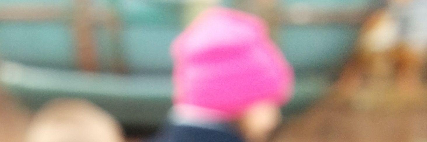LesBonnetsRoses's profile banner image