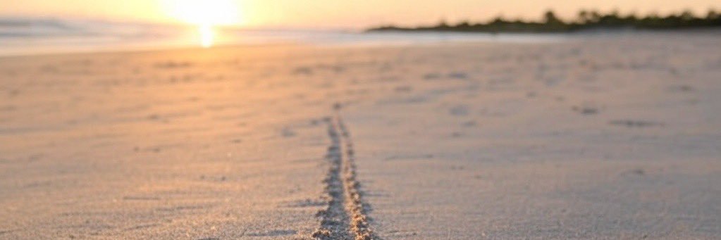 Mike Wordsmith banner