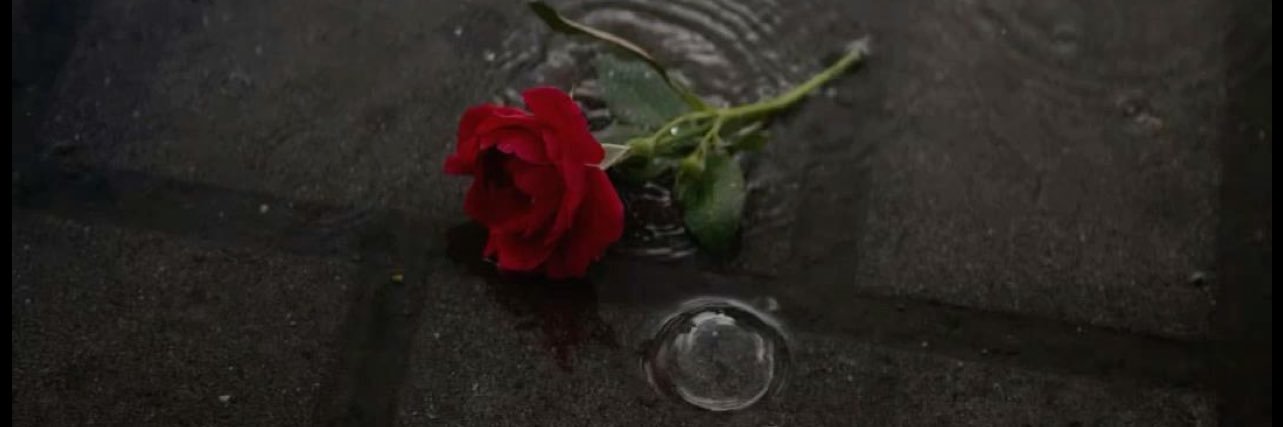 puddle bubble 🫧 banner