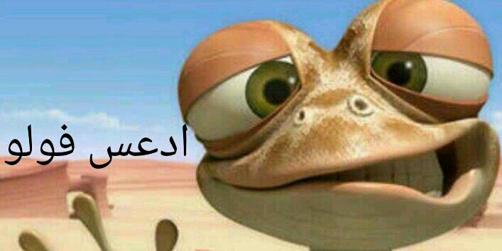 b_alhanouf's profile banner image