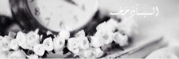 33Hadb's profile banner image