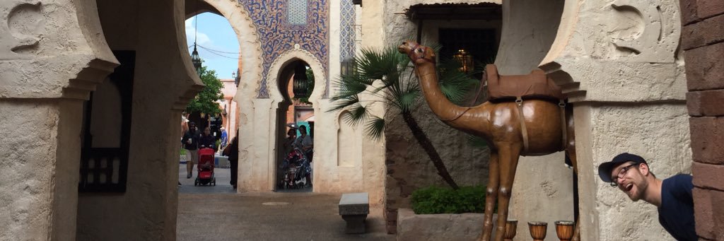 Mr. Shadowfax banner