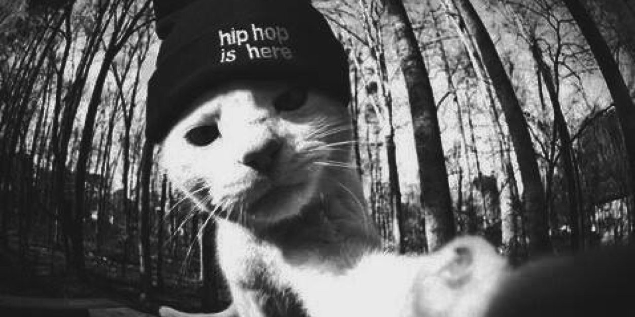 captainlex_'s profile banner image
