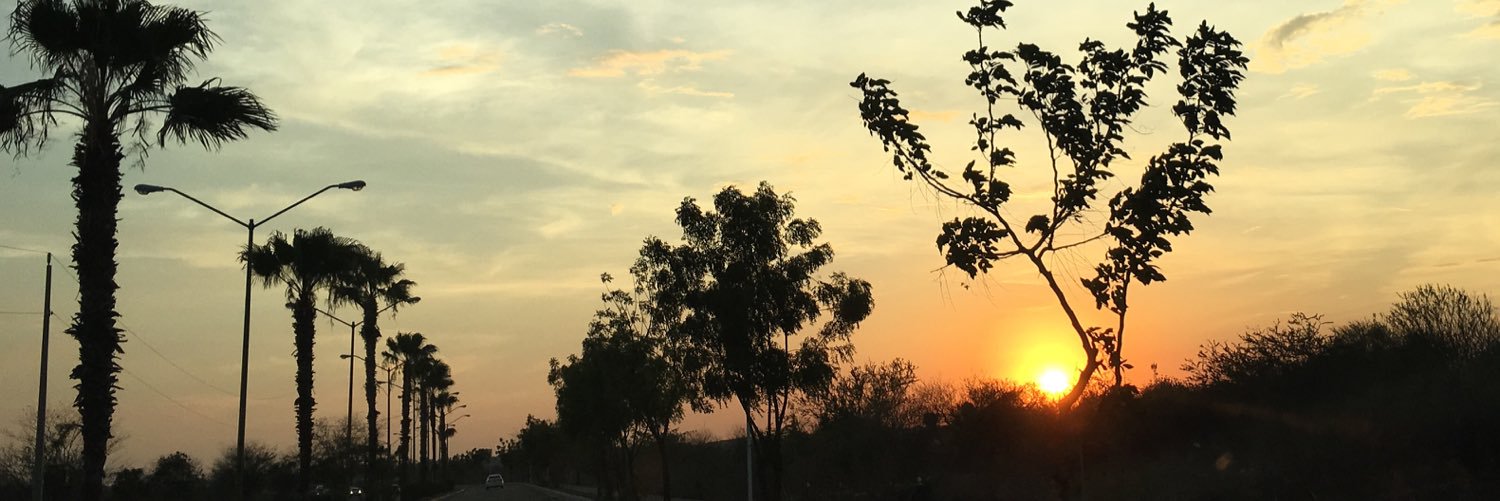 AngieBosque's profile banner image
