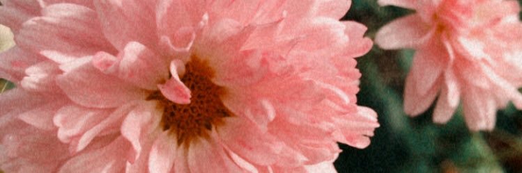 buuseek_'s profile banner image
