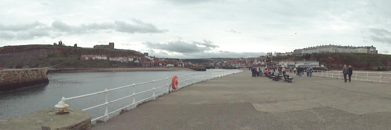 Chris Snowdon banner