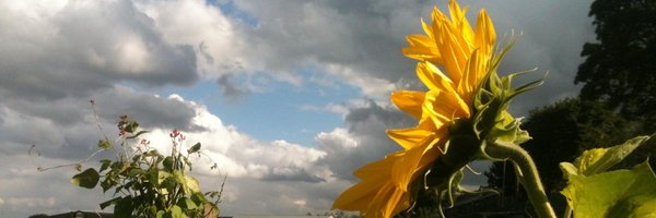 sallyb3uk Profile Banner