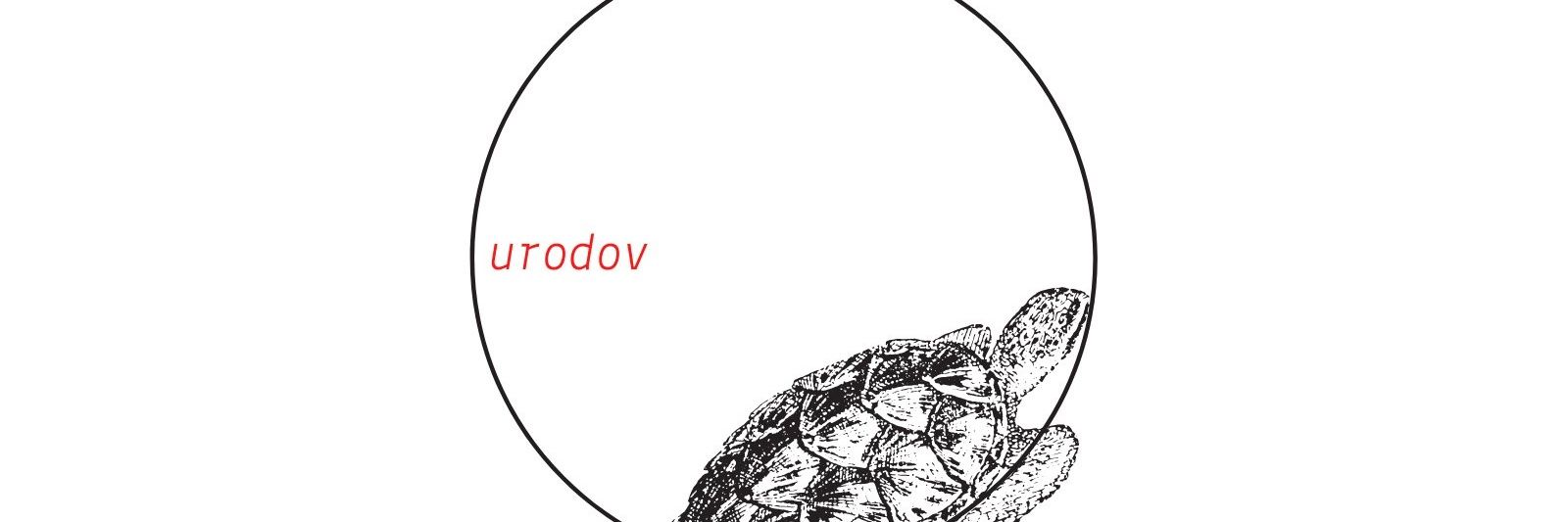 discipleurodov's profile banner image