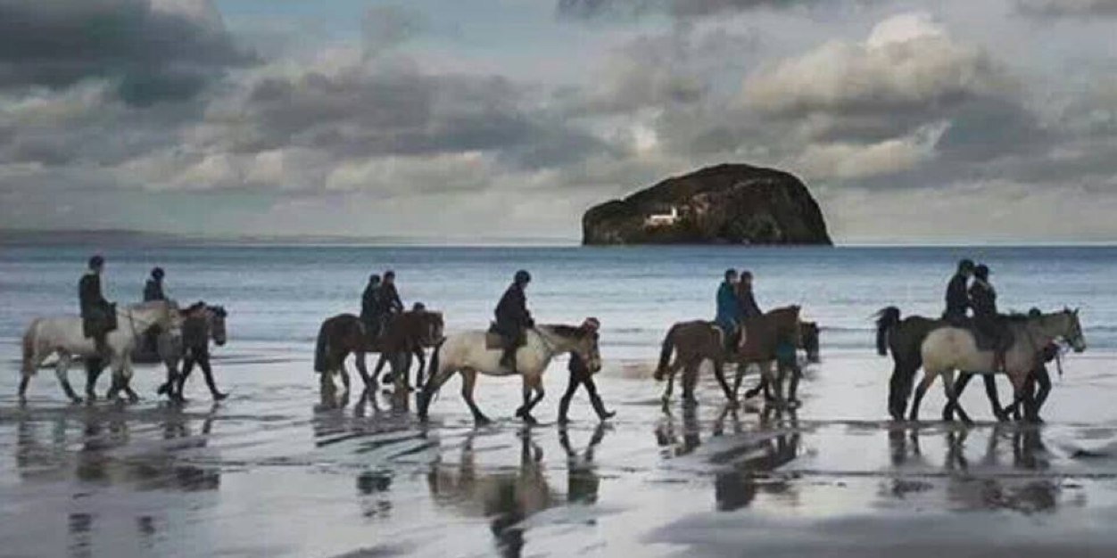 seacliffstables's profile banner image