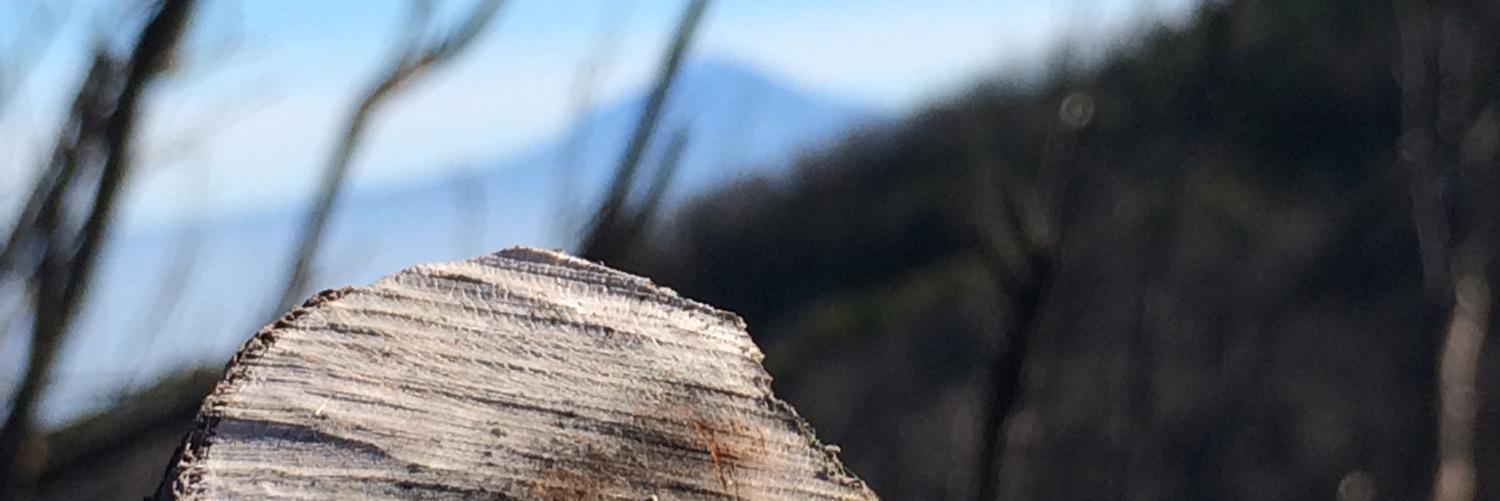 baptdess's profile banner image