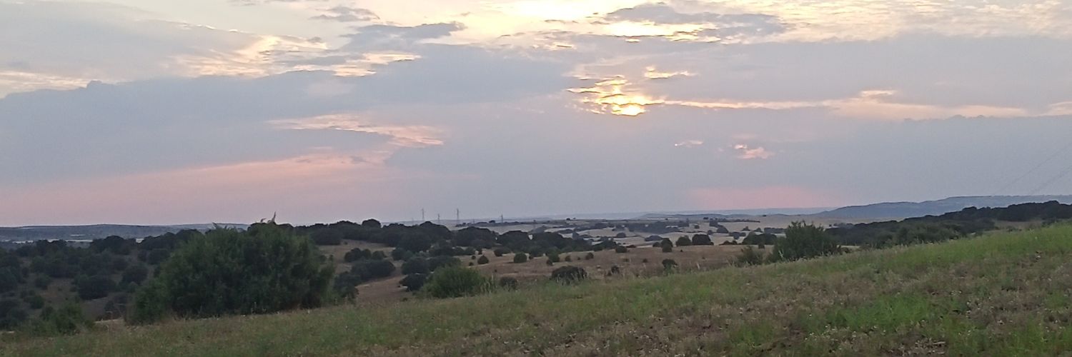 raulpolo88's profile banner image