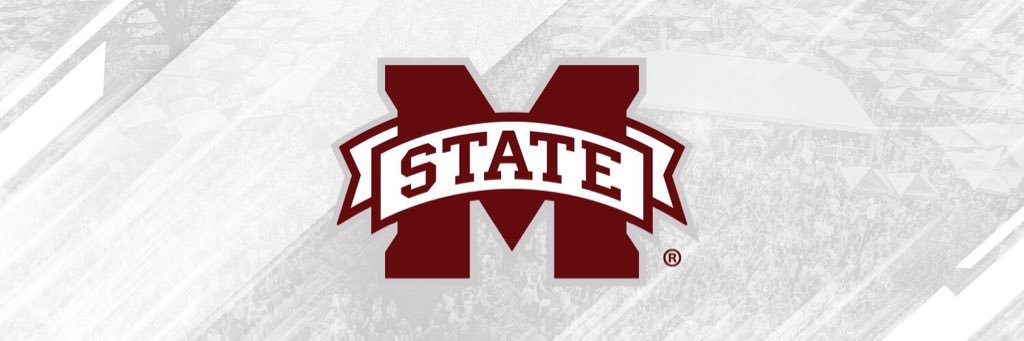 Hail State Strength banner